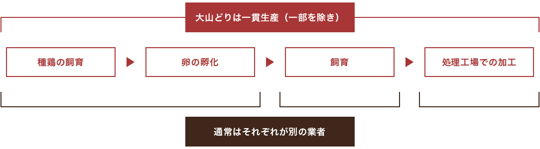 大山どりは一貫生産（一部を除き）